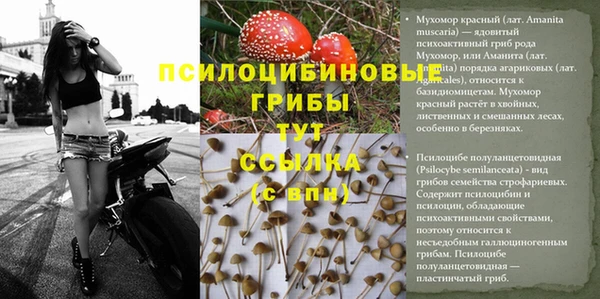 тгк Абаза