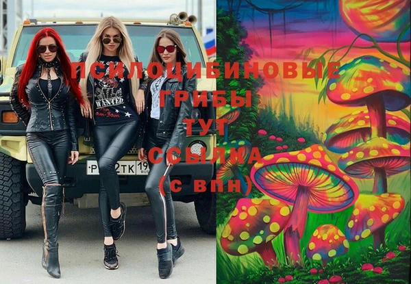 таблы Алзамай