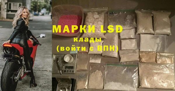 тгк Абаза
