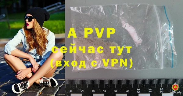 стафф Алексин