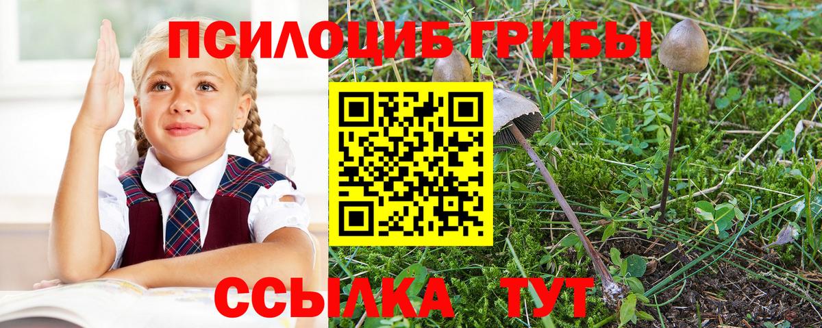 Галлюциногенные грибы GOLDEN TEACHER  Псилоцибиновые грибы мицелий  Вход с VPN  Астрахань 