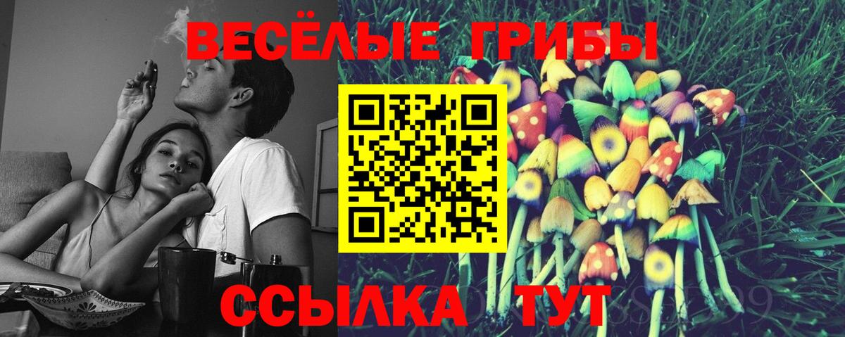 Псилоцибиновые грибы ЛСД Астрахань