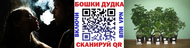 Бошки Шишки марихуана  цена наркотик  Астрахань 